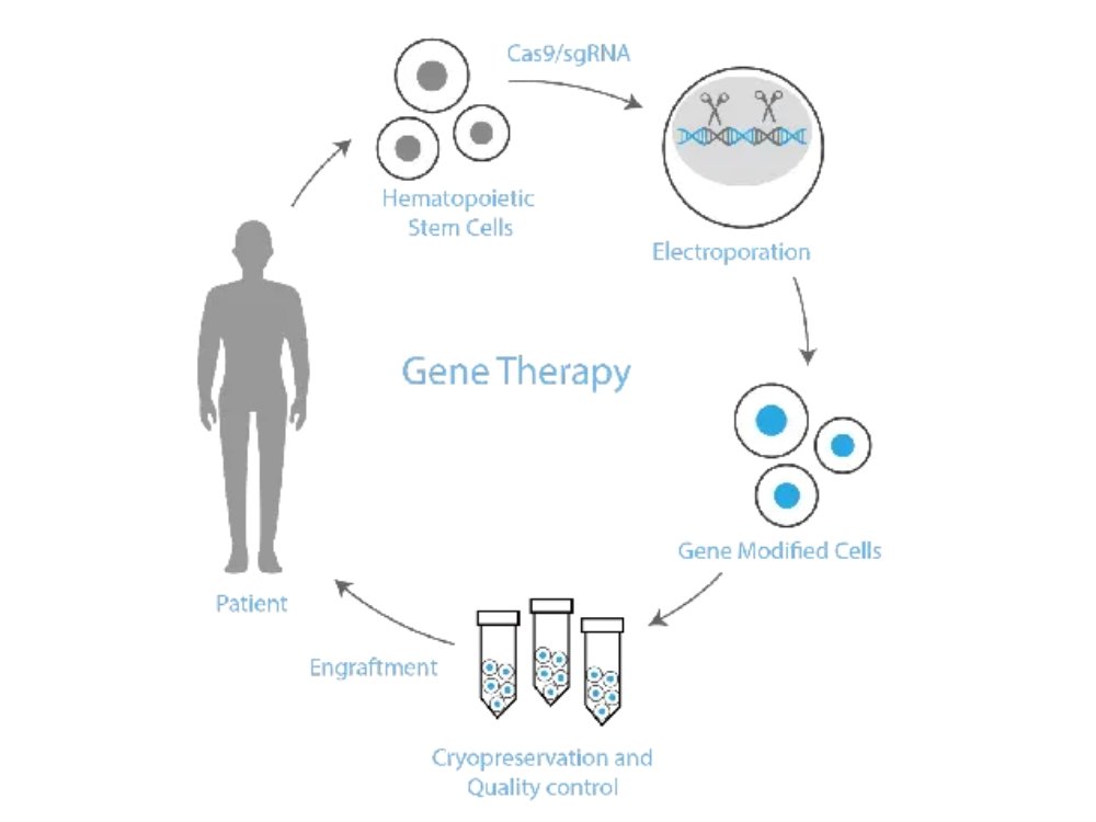 Innovative Gene Therapy Offers New Hope for Sickle Cell and Thalassemia Patients