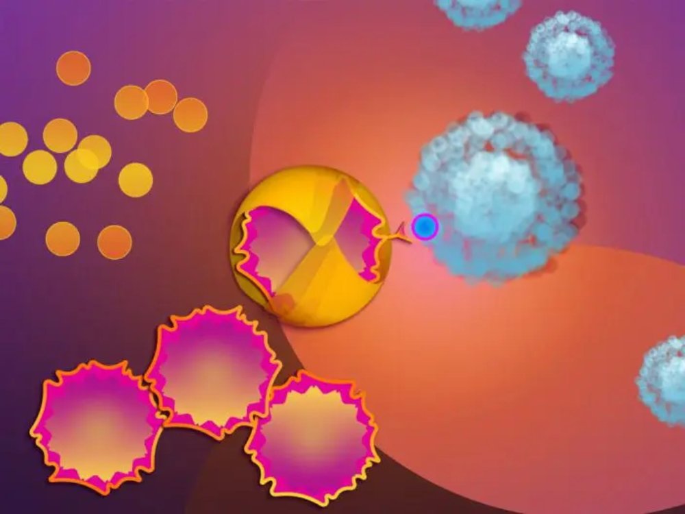 Harnessing NK Cells: Advancing Cancer Therapy Beyond Boundaries