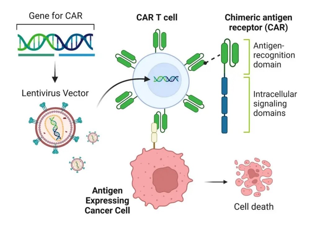 CAR-T THERAPY: TRANSFORMINGCANCER CARE AND SAVING LIVES